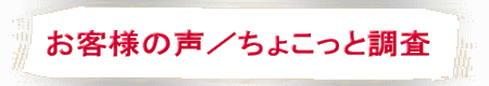 お客様の声／ちょこっと調査